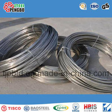 5.5mm SAE1008 Steel Wire Rod in Coil Low Carbon Steel